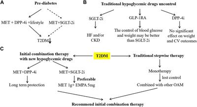 New Hypoglycemic Drugs: Combination Drugs and Targets Discovery